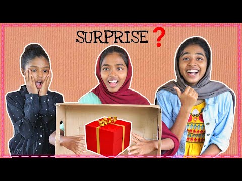 SURPRISE FOR CHIPPI  + WHATS IN THE BOX| THE3SISTERS