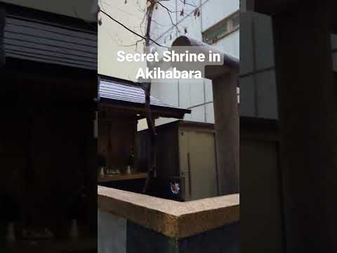 Secret Shrine #travel #japan #akihabara #shrine #shorts