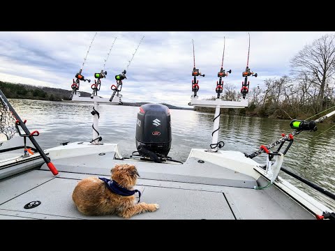 Catfishing for $50,000!! (Fishing Tournament)