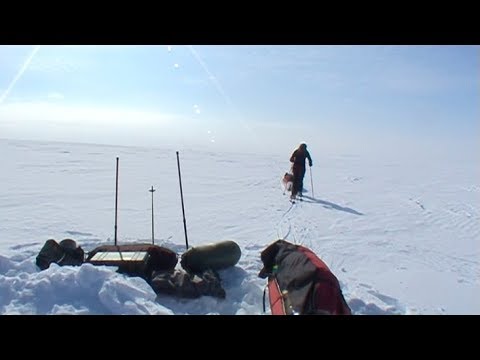 Carrying by skis the material in the glacier plateau - Penny Icecap 2009 expedition