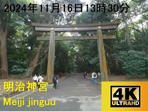 ４K撮影 2024年11月17日13時30分明治神宮周辺アップしました。#明治神宮#紅葉#東京