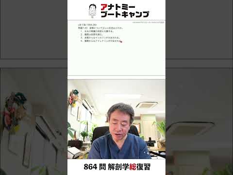 【 #国試1分道場 ・内分泌系】副腎について正しい記述はどれか　１．左右の腎臓の前面に位置する　２．髄質は皮質を囲む　３．皮質からはインスリンが分泌される　４．髄質からはアドレナリンが分泌される