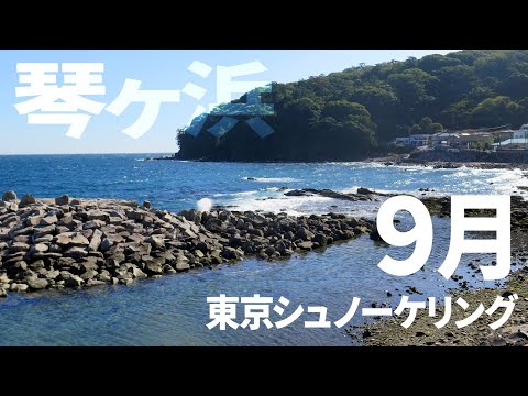 ＃９琴ヶ浜でシュノーケリング（2016年9月）【東京シュノーケリング】