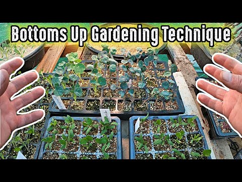 This Bottoms Up Gardening Technique Will Save You Loads Of Time When Starting Your Plants From Seed!