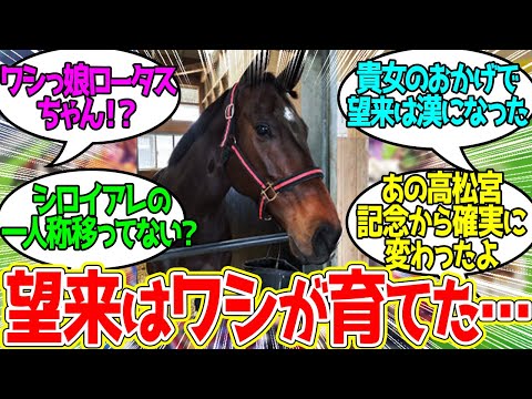 ロータスランド ← ゴルシの許婚にして望来の育ての親に対するみんなの反応！【競馬 の反応集】