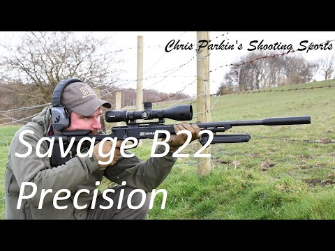 Savage B22 Precision review Highlights and some steel target action