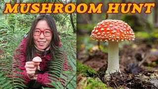 MUSHROOM HUNTING 🍁 Autumn Adventures in Washington