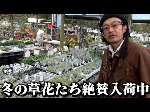 【春夏秋冬】植物で季節を感じるって最高じゃん【カーメン君】【園芸】【ガーデニング】