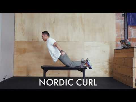 Nordic Curl (On Bench with Belt)