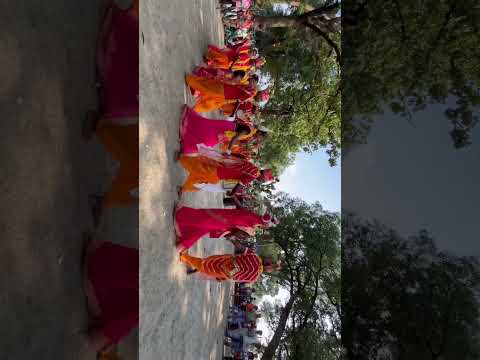 कर्मा नृत्य छत्तीसगढ़ अंचल आदिवासी समाज का प्रचलित लोक नृत्य है Tribal karma dance, #shorts