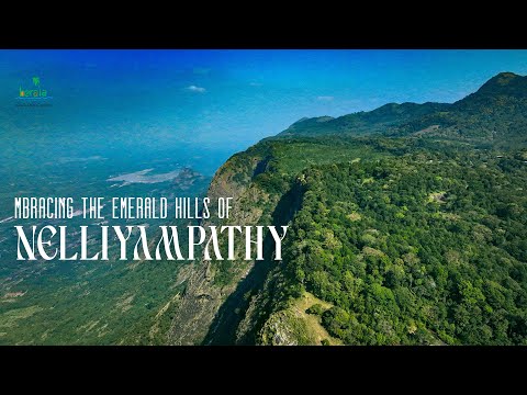 Exploring the Elevated Realms of Nelliyampathy