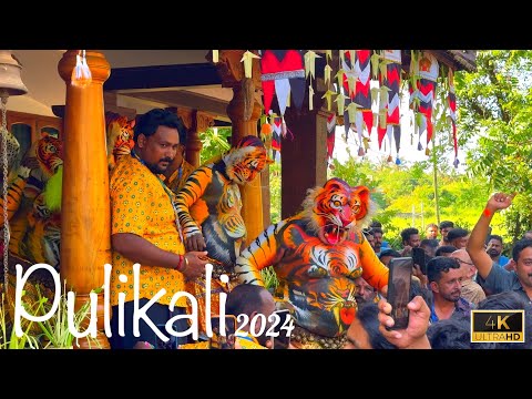 Kerala Pulikali ( Tiger dance ) 2024 Onam celebration Thrissur-incredible India walking tours 4k