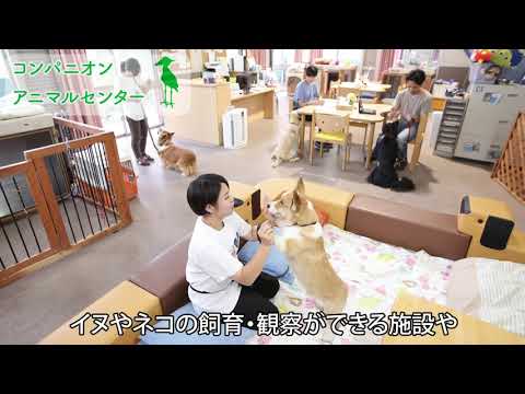 帝京科学大学(東京西キャンパス)　実験研究棟 アニマルサイエンス学科