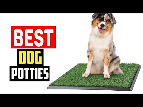 ✅Top 5 Best Dog Potties For Easy Bathroom Breaks in 2024