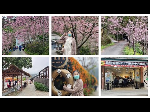 前進拉拉山~桃園復興鄉一日遊!角板山吃山菜，羅浮泡溫泉~還有櫻木花道好浪漫(#旅遊 #櫻花季#台灣旅遊#桃園景點#櫻花#角板山#拉拉山)