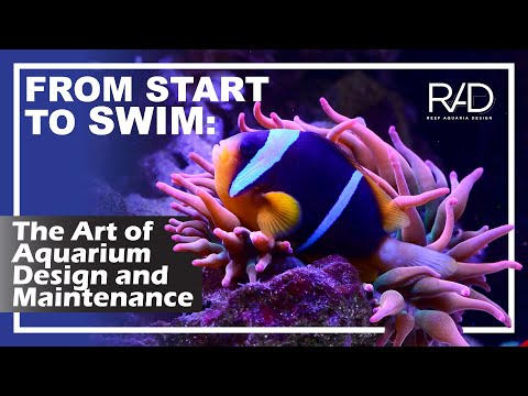 THE PROCESS OF DESIGNING, BUILDING AND MAINTAINING BIG SCALE AQUARIUMS BY REEF AQUARIA DESIGN.