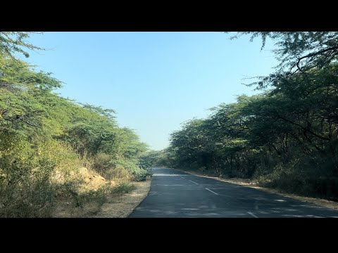 Aravali hills in Haryana 😍🐅