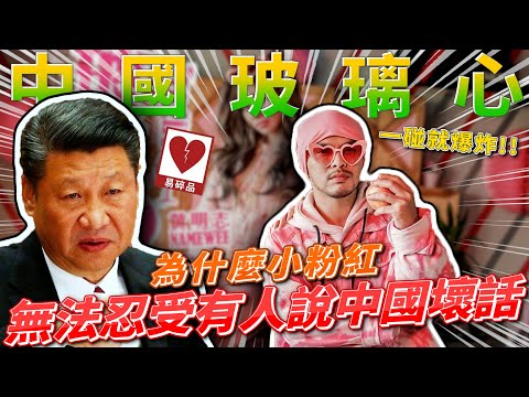 為何中國小粉紅這麼容易玻璃心碎!?台灣也曾被罵成狗!?所有強國都要經歷的過程!!! feat.柴Sean你說