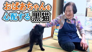 釜飯屋を切り盛りするおばあちゃんと黒猫の強い絆