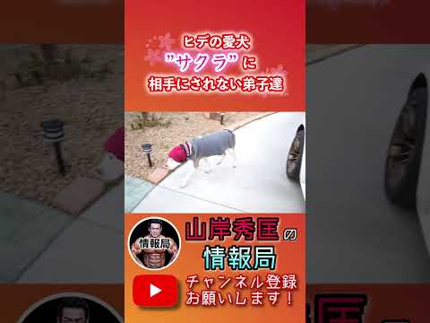 【山岸秀匡】ヒデの家族のサクラにはまだ受け入れられてない弟子達【筋トレ/ビッグヒデ/切り抜き】