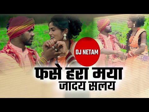 फसे हरा मया जादय सलय || Dj Netam || New Song || Cg Step || 2024