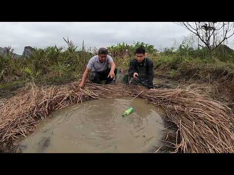 Attractive and dangerous giant carnivorous fishing | Fish King TV