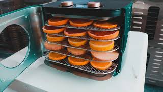 Dalle's DL-05 Plastic Mini Food Dehydrator