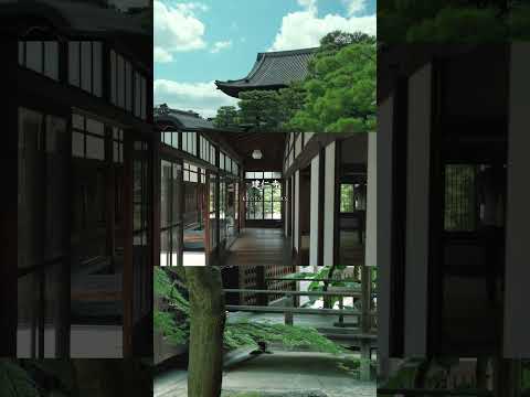 京都最古の禅寺！緑が美しい…！