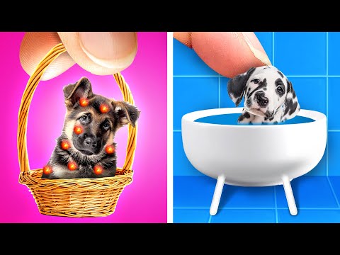 We Saved a Little Puppy 🥺*Paw Patrol In Real Life* by Crafty Panda GO!