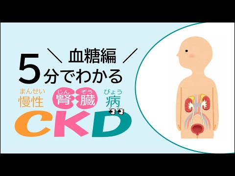 5分でわかるCKD（血糖編）