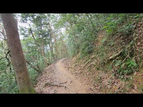 [香港][遠足] 鷹巢山自然教育徑, 適合大人小孩學生