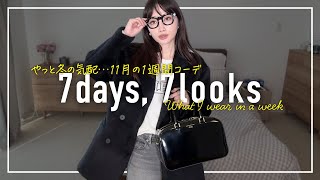 冬がきた⛄️アラフォー11月のリアルな1週間コーデ記録【7days,7looks】