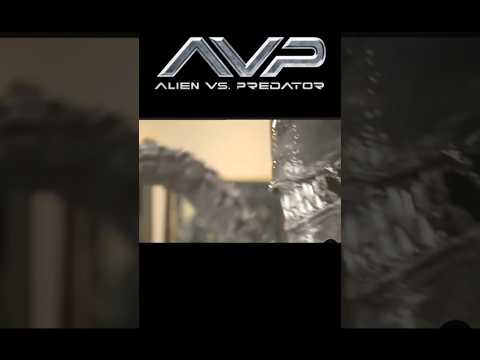 #avp #alien #predator #movie #film #funny #short #shorts #trending #viralvideo #trend