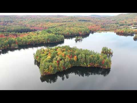 Drone Over Autumn Foliage | Copyright Free Video Footage