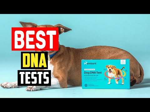 ✅Top 5 Best DNA Tests for Dogs in 2024