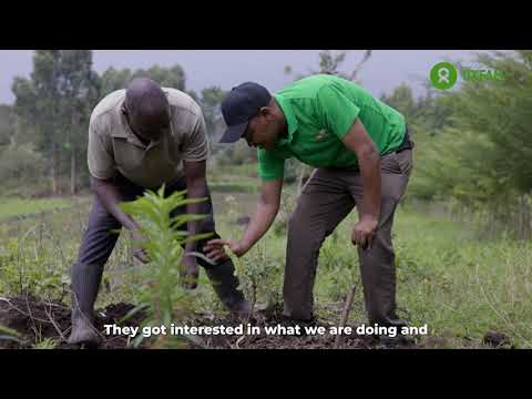 Seeds of Change: Empowering Farmers Through Macadamia Nut Cultivation