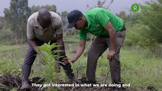 Seeds of Change: Empowering Farmers Through Macadamia Nut Cultivation