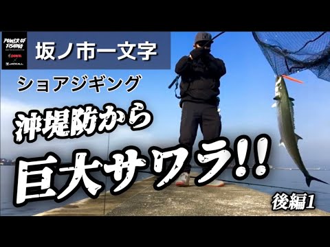 【ショアジギング】沖堤防から巨大サワラ！！