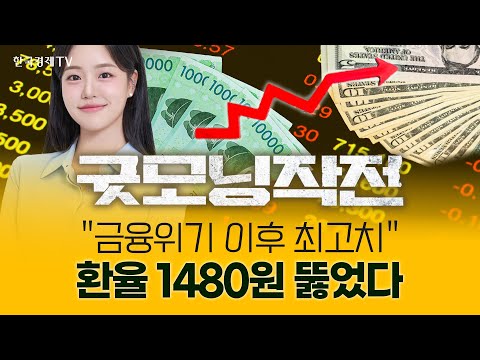 "금융위기 이후 최고치" 환율 1480원도 뚫렸다 | 굿모닝작전_241227