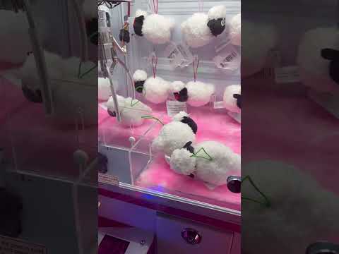 SHAUN THE SHEEP Mini Claw Machine Win! #clawcatcher #win #clawmachine #round1 #sheep #arcade