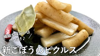 #1025『新ごぼうのピクルス』下茹でも仕上げも1つの鍋で！副菜としても、おつまみにも！｜Chef Kiyomi MIKUNI