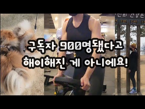 REST WEEK | 서울근교드라이브 두물머리 양평여행