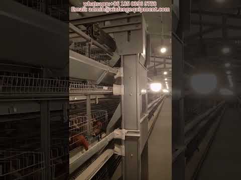 Poultry Farming Equipments H Type Layer Chicken Battery Cages