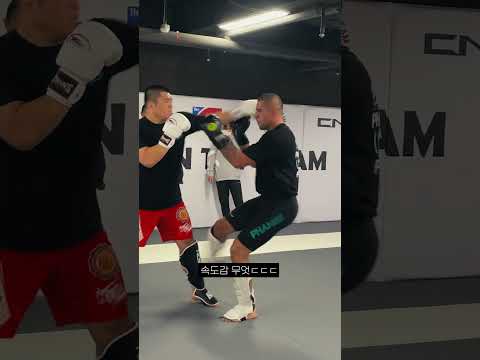 UFC 미들급 챔피언 알렉스 페레이라와 훈련?🥊🔥