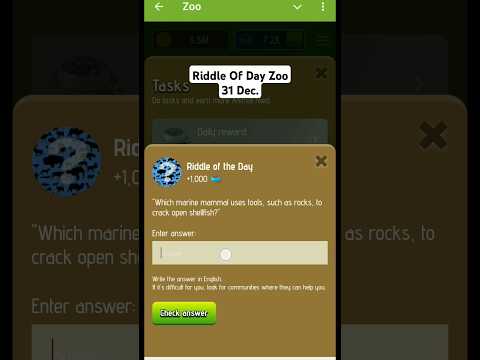 Zoo Riddle Of Day 31 Dec, Riddle Of The Day,Zoo Code Today, Today Riddle Code Zoo Airdrop