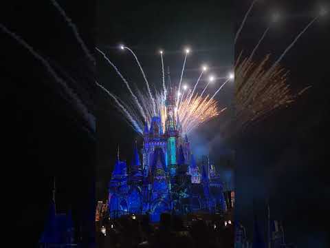 HAPPIEST PLACE ON EARTH || Happy Ever After Fireworks at Disney World Magic Kingdom #magickingdom