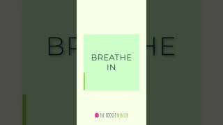 Box Breathing Daily Mindful Moment #shorts #mindfulmoment #mindfulness #breathwork #mindful #calm