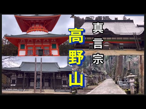 【高野山】今年3月、旅に出ました。人生で一度は行って見たい場所。高野山。