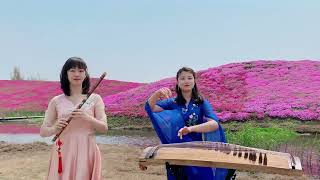 古筝、笛子合奏《牡丹之歌》，100亩的紫色薰衣草那么美，真棒Guzheng and flute ensemble "Song of Peony"