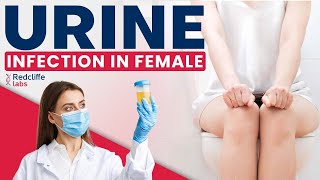 💹Urinary Tract Infection- UTI in Women | UTI Symptoms And Treatment | Urine Infection in Females